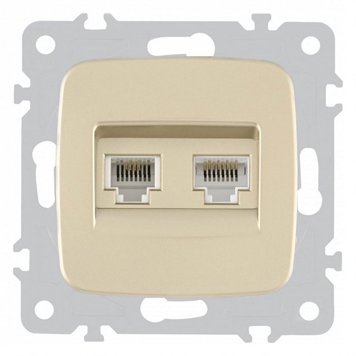 Розетка двойная RJ-11 и Ethernet RJ-45, без рамки Arte Milano am-205 205.44-1.shampan - фото 4938395