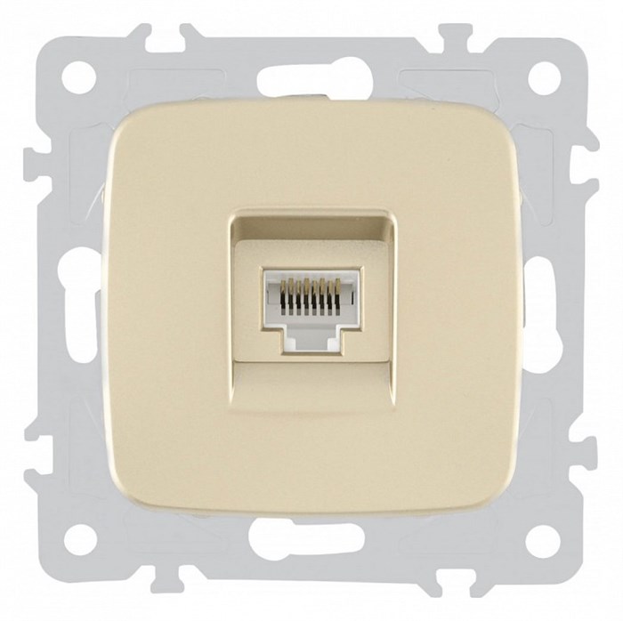 Розетка Ethernet RJ-45 без рамки Arte Milano am-205 205.45-1.shampan - фото 4938411