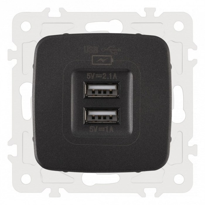 Розетка USB, без рамки Arte Milano am-205 205.46-1.black - фото 4938423