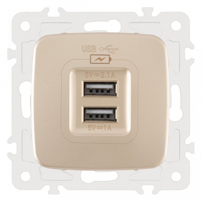 Розетка USB, без рамки Arte Milano am-205 205.46-1.shampan - фото 4938427