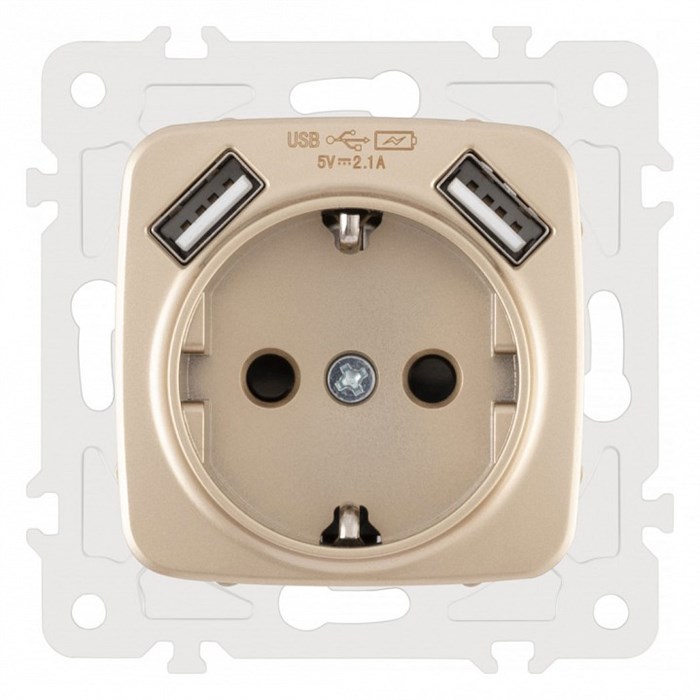 Розетка с заземлением и со шторкой и 2хUSB, без рамки Arte Milano am-205 205.47-1.shampan - фото 4938443