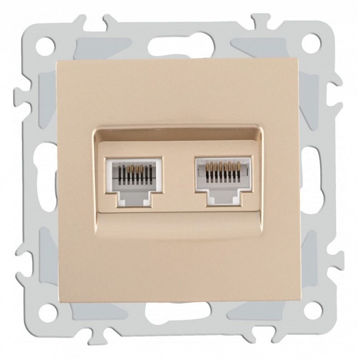 Розетка двойная RJ-11 и Ethernet RJ-45, без рамки Arte Milano am-206 206.44-1.shampan - фото 4938726
