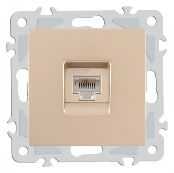 Розетка Ethernet RJ-45 без рамки Arte Milano am-206 206.45-1.shampan - фото 4938742