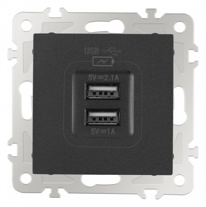 Розетка USB, без рамки Arte Milano am-206 206.46-1.black - фото 4938754