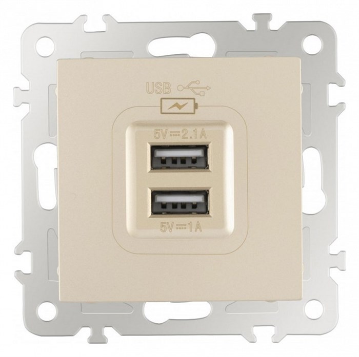 Розетка USB, без рамки Arte Milano am-206 206.46-1.shampan - фото 4938758