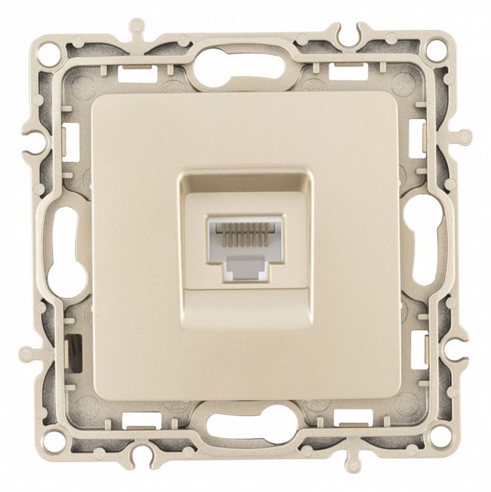 Розетка Ethernet RJ-45 без рамки Arte Milano am-217 217.45-1.shampan - фото 4939077