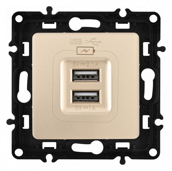 Розетка USB, без рамки Arte Milano am-217 217.46-1.shampan - фото 4939108