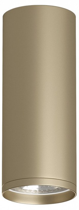 Накладной светильник Denkirs TUBE DK2051-SG - фото 4948226