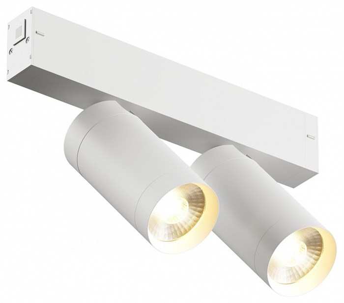 Светильник на штанге Denkirs Smart DK8012-WH - фото 4948299