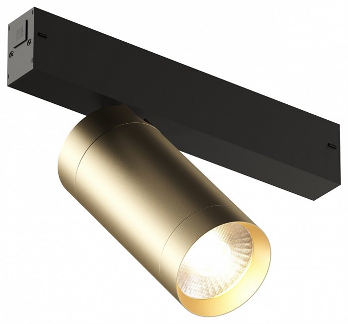Светильник на штанге Denkirs Smart DK8020-BG - фото 4948322