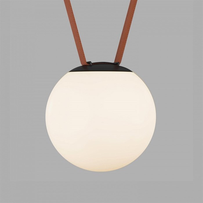 Накладной светильник Denkirs BELTY ORB DK5553-BK - фото 4949594