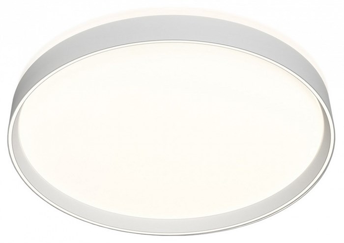 Накладной светильник Denkirs PLATO DK6511-WH/1 - фото 4949981