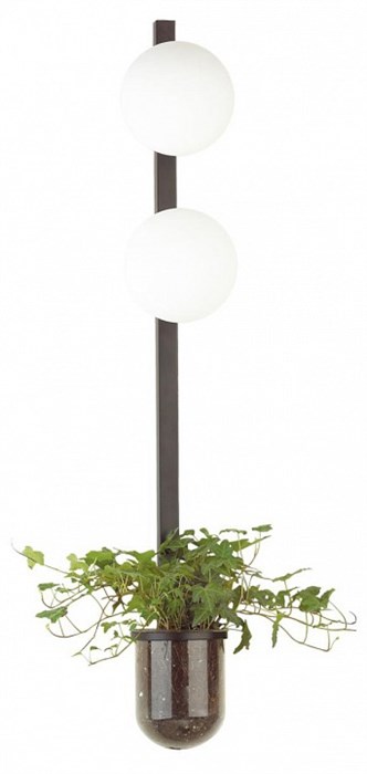 Бра Odeon Light Flower 4681/2WA - фото 4951368
