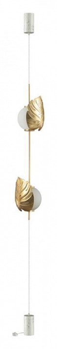 Светильник на растяжке Odeon Light Jungle 4864/2FC - фото 4952217