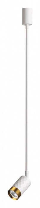 Светильник на штанге Odeon Light Ad Astrum 4350/1C - фото 4952720