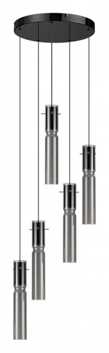 Подвесная люстра Odeon Light Scrow 5058/25L - фото 4955616