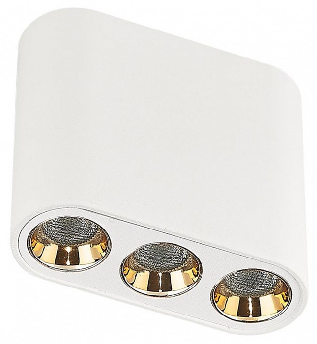 Накладной светильник Odeon Light Small 7091/8CL - фото 4957570