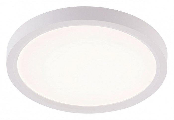 Накладной светильник Natali Kovaltseva PLAIN LED LAMPS 81113/1C - фото 4970235