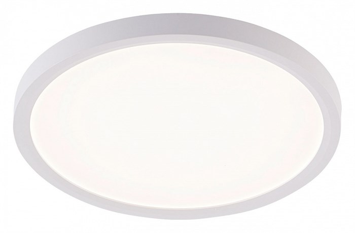 Накладной светильник Natali Kovaltseva PLAIN LED LAMPS 81113/2C - фото 4970247