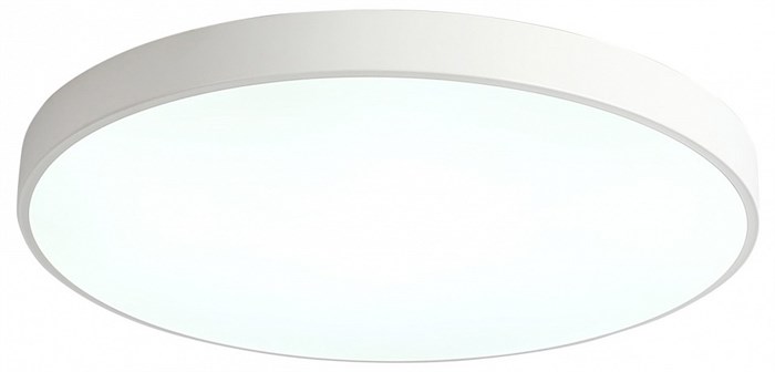 Накладной светильник Zortes Tortty ZRS.02564.120 - фото 4972643