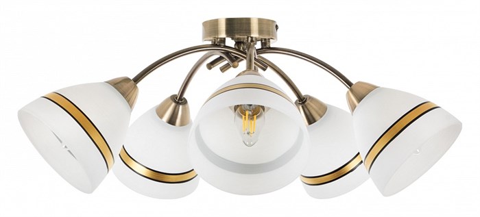 Потолочная люстра MyFar Emily MR1460-5C - фото 4977294