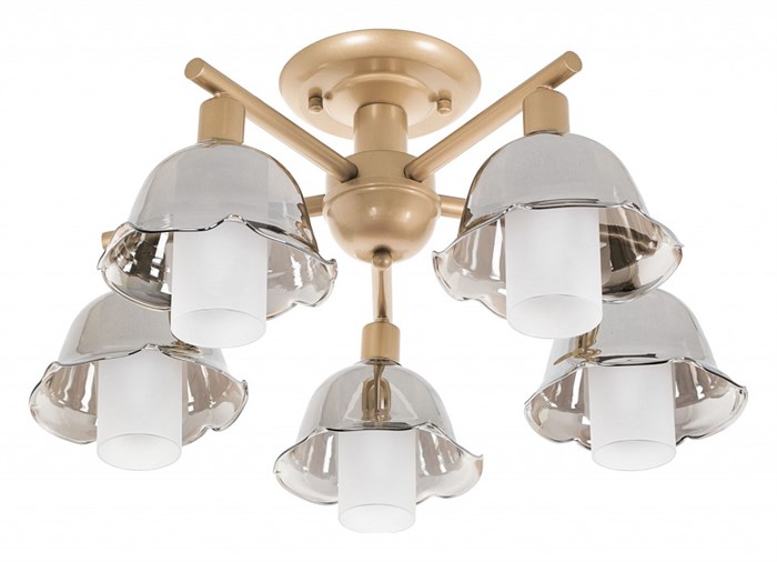 Люстра на штанге MyFar Lisa MR1481-5C - фото 4977302