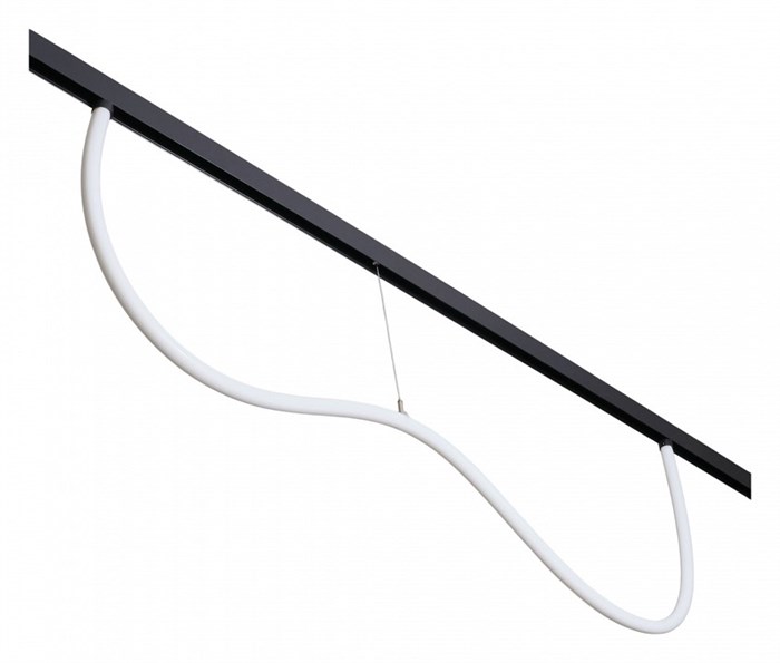 Подвесной светильник MyFar Technical MT0224-20W3K-S-B - фото 4978456