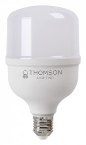 Лампа светодиодная Thomson T100 E27 30Вт 6500K TH-B2364