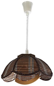 565-726-01 Подвесной светильник Velante