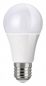 Лампа светодиодная Farlight А60 E27 20Вт 6500K FAR000059