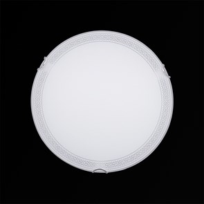 Настенно-потолочный светильник E27 Эллада-2 мат (250) НПБ 01-60-001