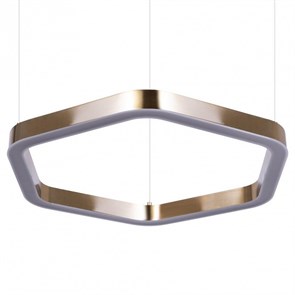 {{productViewItem.photos[photoViewList.activeNavIndex].Alt || productViewItem.photos[photoViewList.activeNavIndex].Description || 'Подвесной светильник Loft it Titanium 10243S Gold'}}