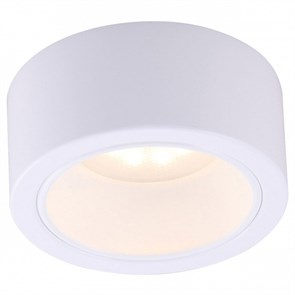 Накладной светильник Arte Lamp Effetto A5553PL-1WH