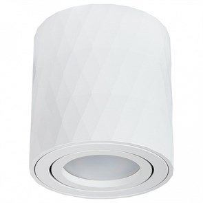 Накладной светильник Arte Lamp Fang A5559PL-1WH