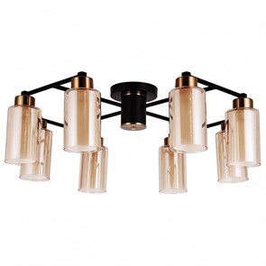 Потолочная люстра Arte Lamp Leo A7027PL-8BK