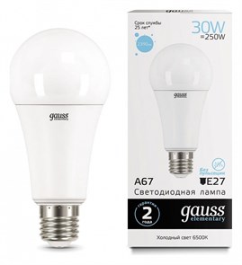 Лампа светодиодная Gauss Led Elementary A67 E27 30Вт 6500K 73239