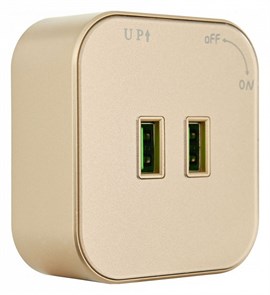 {{productViewItem.photos[photoViewList.activeNavIndex].Alt || productViewItem.photos[photoViewList.activeNavIndex].Description || 'Розетка 2xUSB на треке Arte Milano Am-track-sockets 380022TS/USBx2 Gold'}}