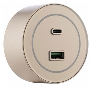 {{productViewItem.photos[photoViewList.activeNavIndex].Alt || productViewItem.photos[photoViewList.activeNavIndex].Description || 'Розетка USB и type C на треке Arte Milano Am-track-sockets-39 399732TS/USB-Type-C Gold'}}