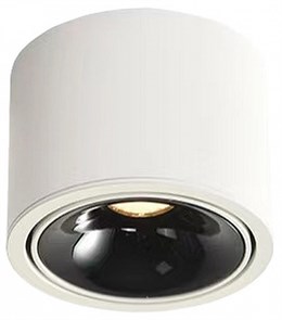 Накладной светильник Wertmark WTA.O06 WTA.O06.067.40.07
