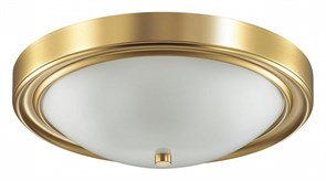 {{productViewItem.photos[photoViewList.activeNavIndex].Alt || productViewItem.photos[photoViewList.activeNavIndex].Description || 'Накладной светильник Lumion Nina 5259/3C'}}