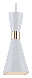 {{productViewItem.photos[photoViewList.activeNavIndex].Alt || productViewItem.photos[photoViewList.activeNavIndex].Description || 'Подвесной светильник F-promo Sheen 2758-1P'}}