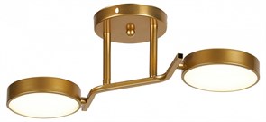 {{productViewItem.photos[photoViewList.activeNavIndex].Alt || productViewItem.photos[photoViewList.activeNavIndex].Description || 'Светильник на штанге Escada Starlight 10273/2LED'}}