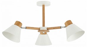 Люстра на штанге EVOLUCE Buve SLE103702-03