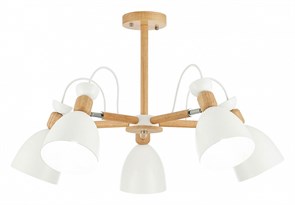 Люстра на штанге EVOLUCE Balcamo SLE103802-05