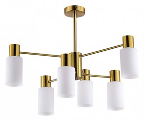 {{productViewItem.photos[photoViewList.activeNavIndex].Alt || productViewItem.photos[photoViewList.activeNavIndex].Description || 'Люстра на штанге EVOLUCE Gessi SLE1139-302-06'}}