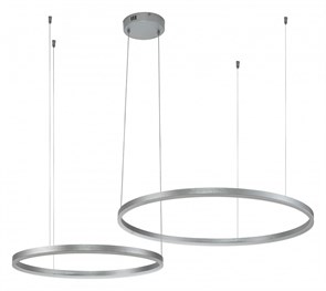 {{productViewItem.photos[photoViewList.activeNavIndex].Alt || productViewItem.photos[photoViewList.activeNavIndex].Description || 'Подвесной светильник Indigo Galass 14001/2P Silver'}}