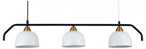 {{productViewItem.photos[photoViewList.activeNavIndex].Alt || productViewItem.photos[photoViewList.activeNavIndex].Description || 'Подвесной светильник Indigo Attimo 10005/3PL Black'}}