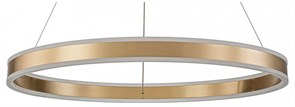 {{productViewItem.photos[photoViewList.activeNavIndex].Alt || productViewItem.photos[photoViewList.activeNavIndex].Description || 'Подвесной светильник Indigo Perfetto 14012/1P Brass'}}