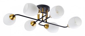 {{productViewItem.photos[photoViewList.activeNavIndex].Alt || productViewItem.photos[photoViewList.activeNavIndex].Description || 'Потолочная люстра Arte Lamp Andrea A8141PL-6BK'}}