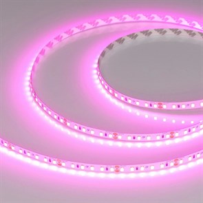 {{productViewItem.photos[photoViewList.activeNavIndex].Alt || productViewItem.photos[photoViewList.activeNavIndex].Description || 'Лента светодиодная Arlight A120 24V 8mm 9.6 W/m 043381'}}